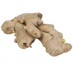 Tekoa Farms Ginger by weight