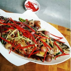 דג ברוטב תאילנדי עם ירקות שורש קלויים